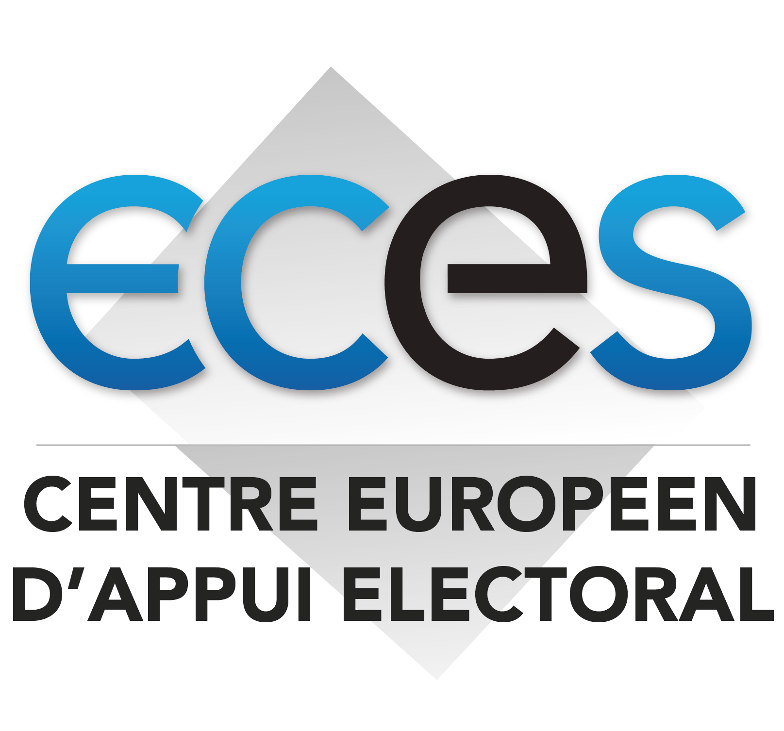 ECES/PACTE BF/AO/FO 07/2015 ECES European Centre for Electoral Support