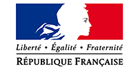 Repubblica francese